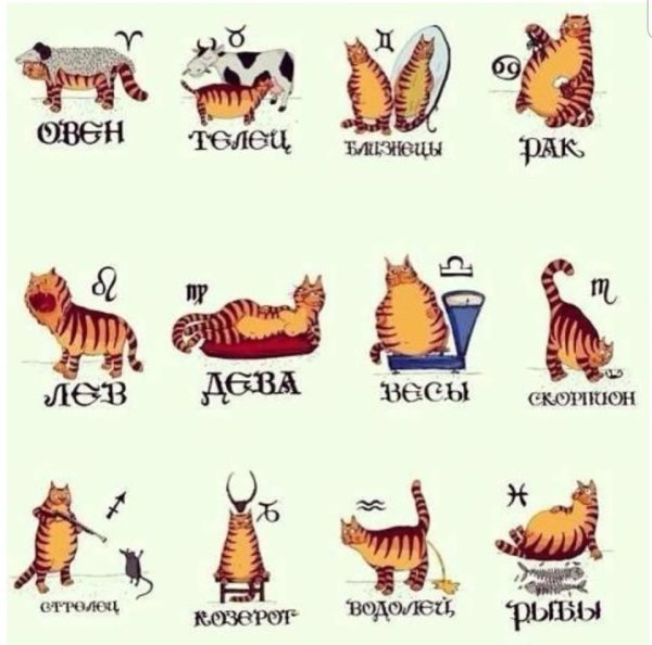 Знаки зодиака приколы