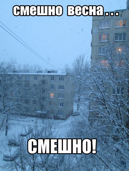 Весна прикольные
