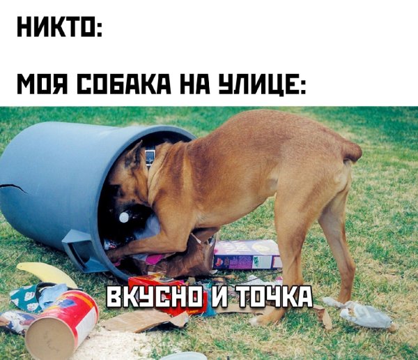 Не паниковать