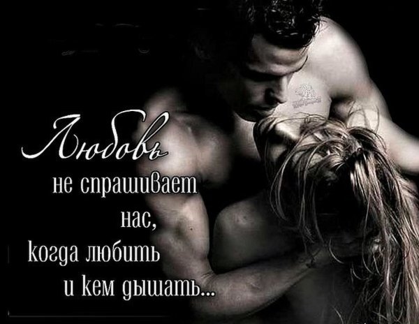 Красивые цитаты про страсть