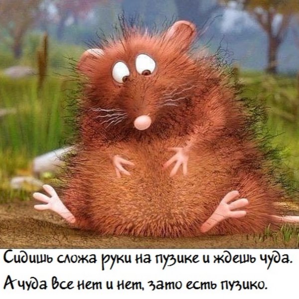 Веселые афоризмы