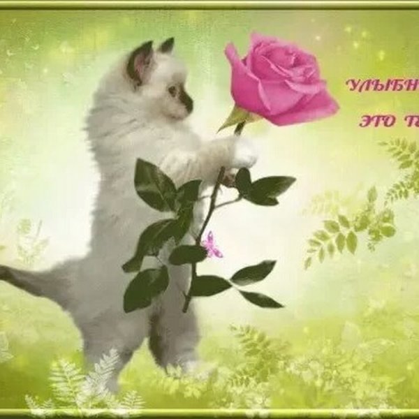 Открытки улыбнись это тебе
