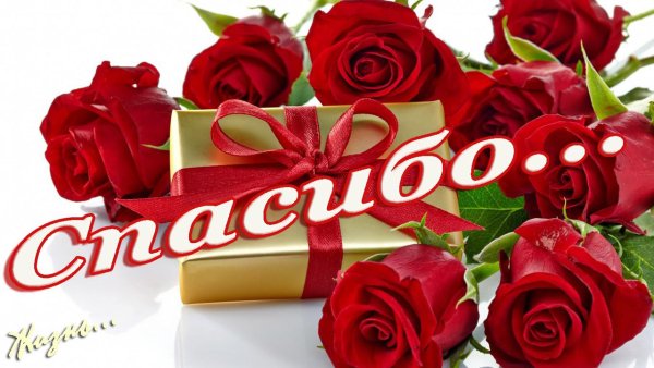 Открытки со словом спасибо
