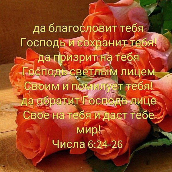 Да благословит тебя Господь да призрит на тебя