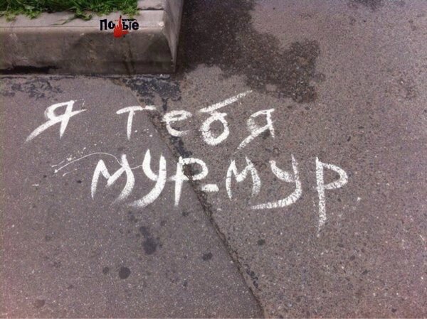 Люблю тебя киса моя