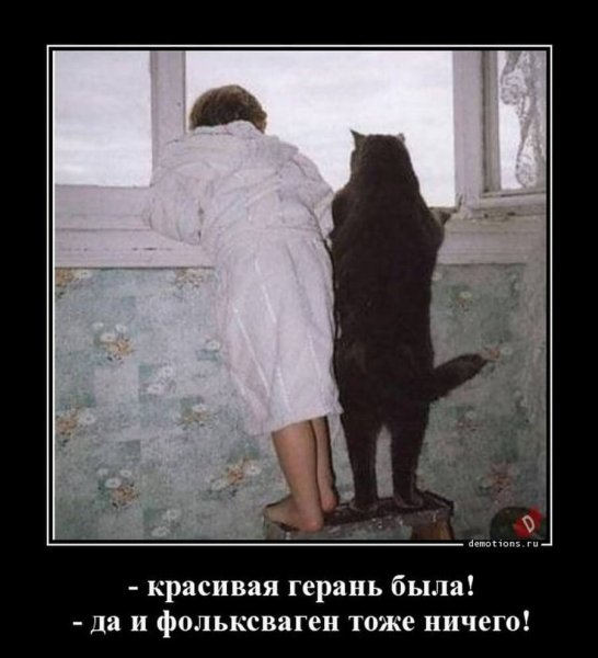 Смешные картинки с надписями
