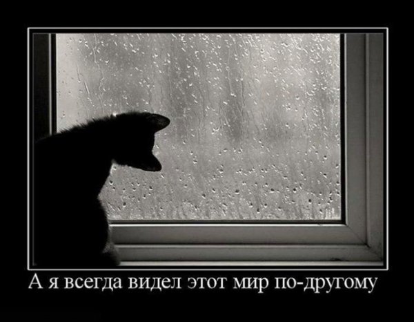Дождь в окне