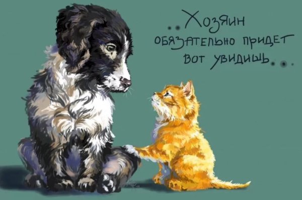 Всем животным нужен дом