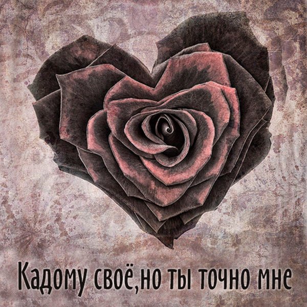 День приятных ожиданий 19 февраля картинки