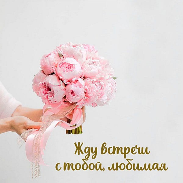 До скорой встречи