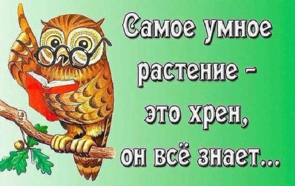 Хрен прикол