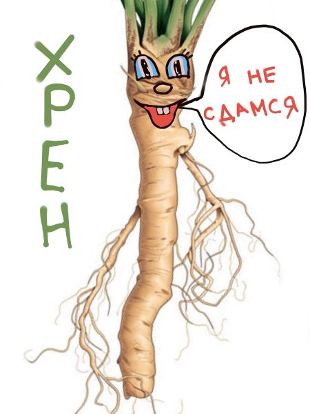 Хрен иллюстрация