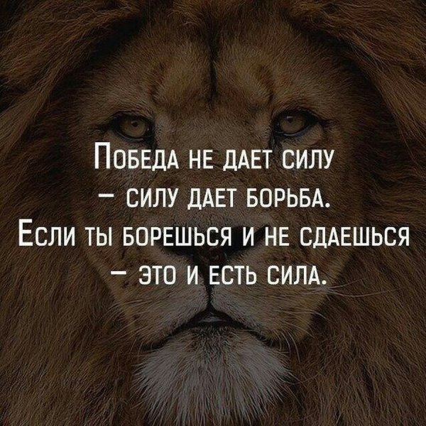 Цитаты про сильных людей