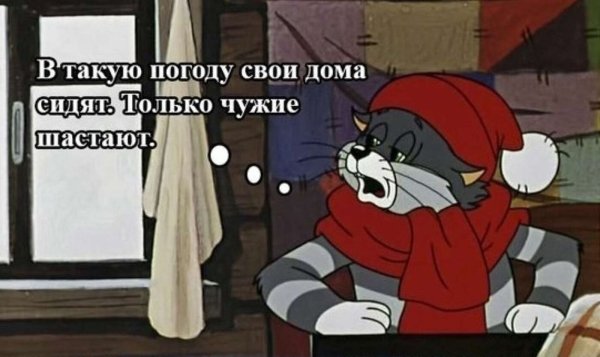 В такую погоду свои дома сидят