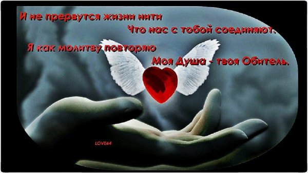 Люблю тебя душа моя