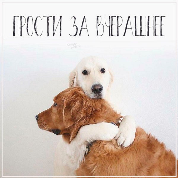 Прости за вчерашнее