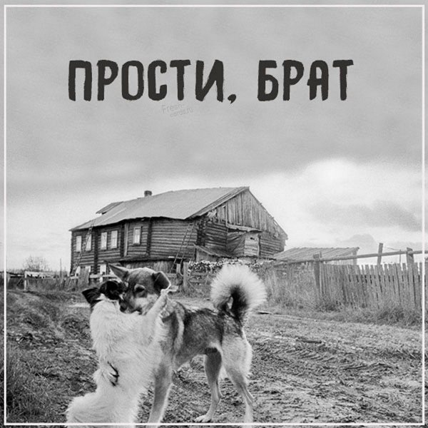 Открытка прости братишка