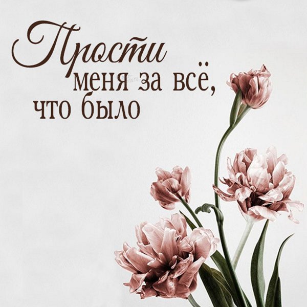 Открытка прости за все