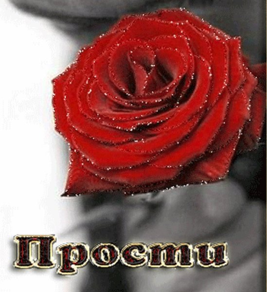 Открытка "прости"