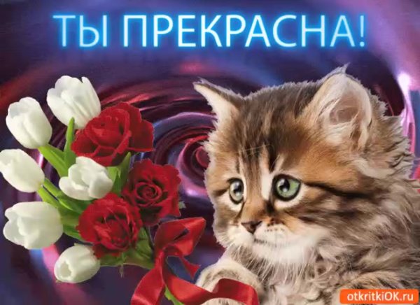 Гифки ты прекрасна