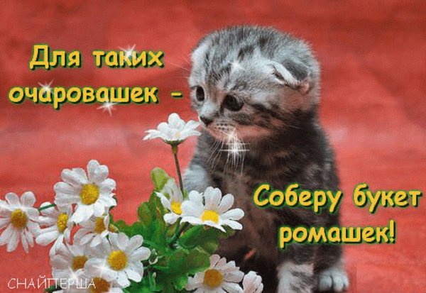 Открытки милашки очаровашки