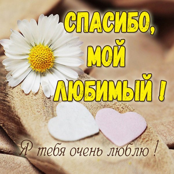 Спасибо любимому мужчине