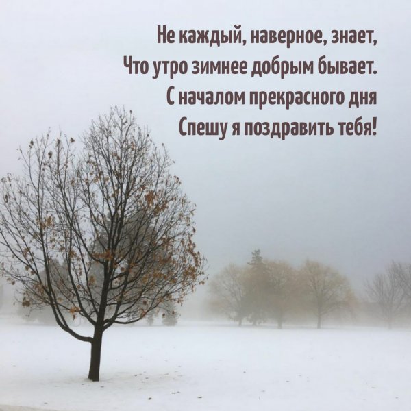Доброе туманное утро зимы с красивыми пожеланиями