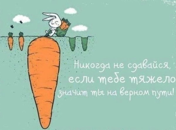 Смешные Мотивирующие фразы