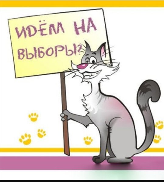 Кот голосует