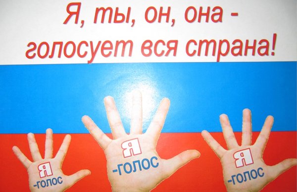 Смешные высказывания с мартышками