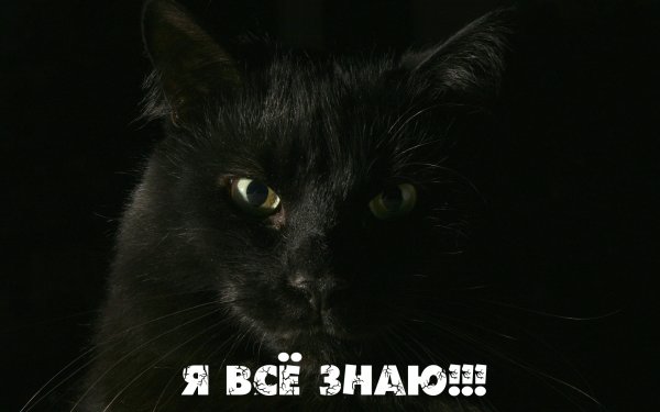 Советские плакаты про выборы