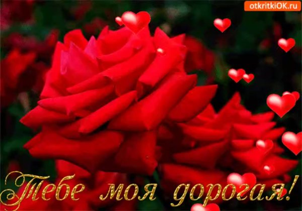 Цветы для любимых и родных