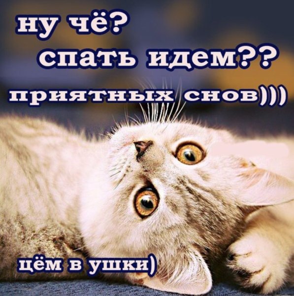 Я спать спокойной ночи