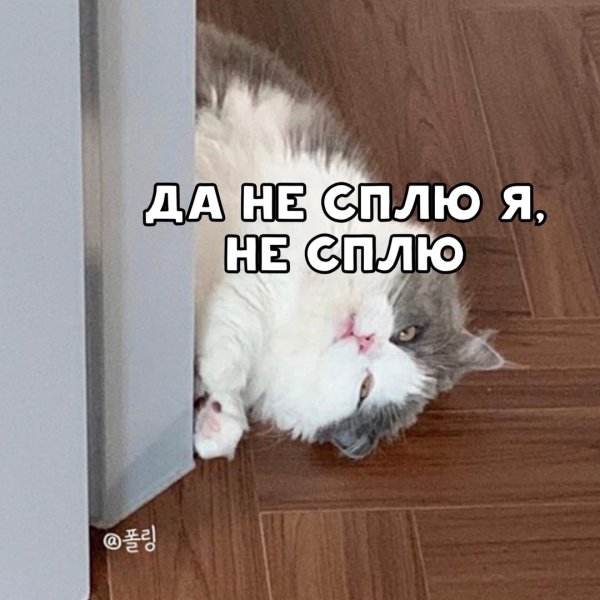 Я спать