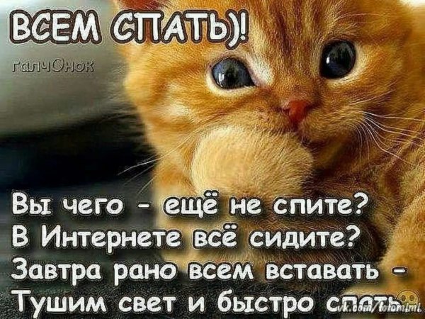 Всем спать