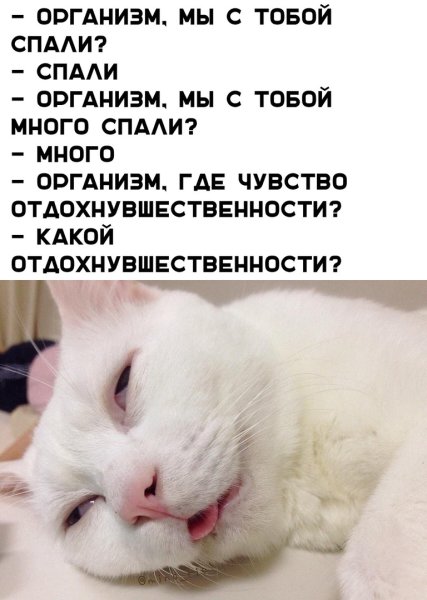 Спать спать