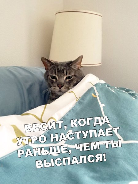 Часики тикают Мем
