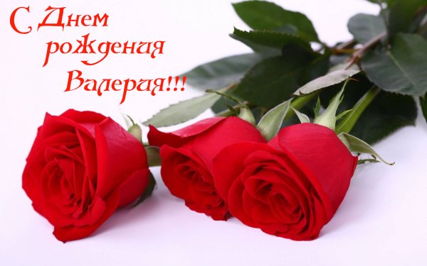 Красивые стихи девушке