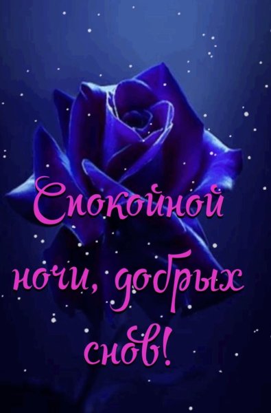 Фото спокойной ночи