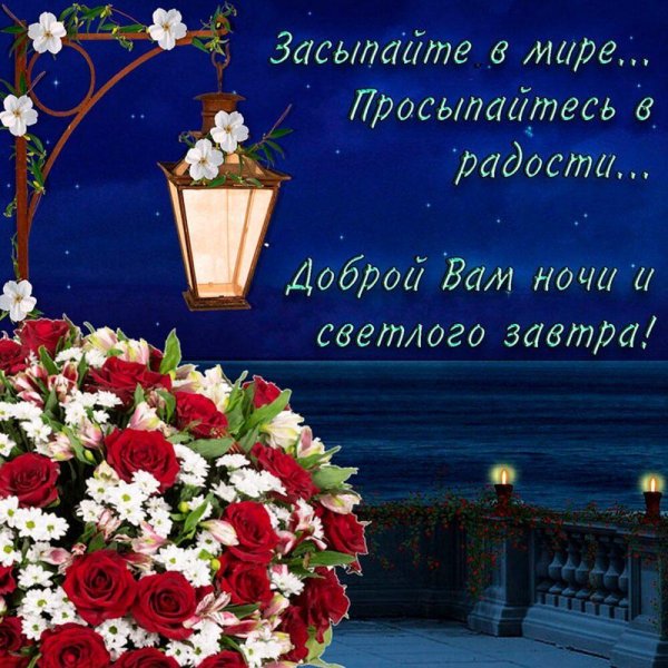Два кота на крыше под луной