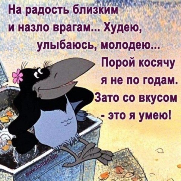 Афоризм дня с юмором