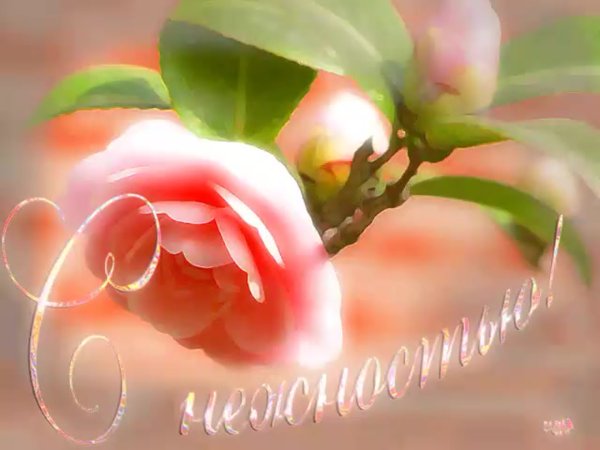 С нежностью к тебе