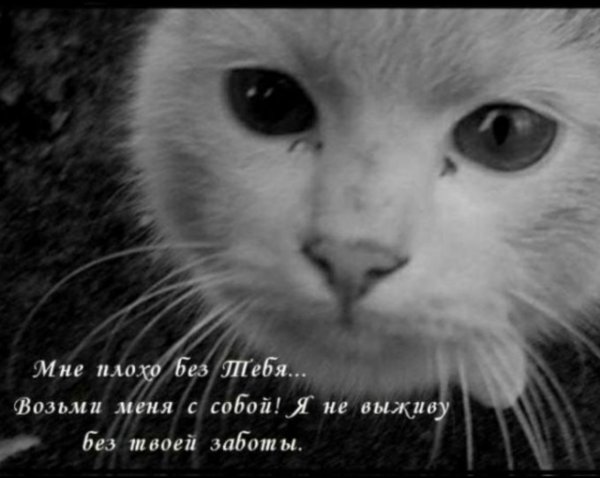 I Miss you Эстетика