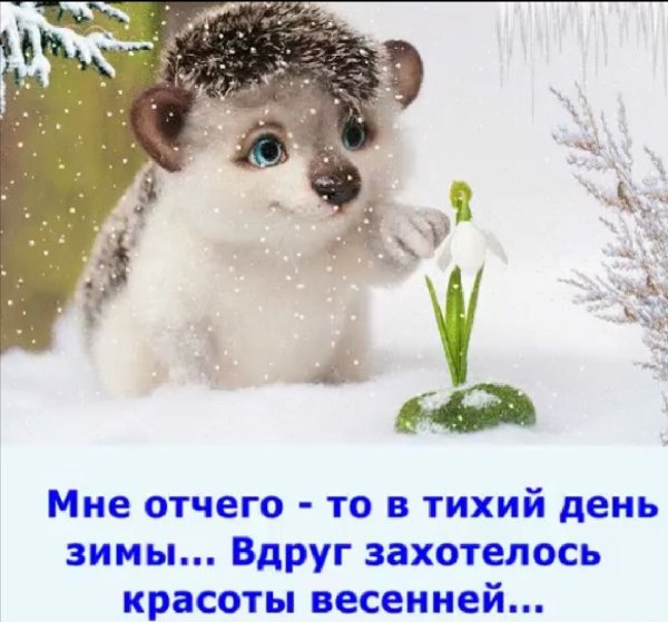 Чуть чуть и Весна