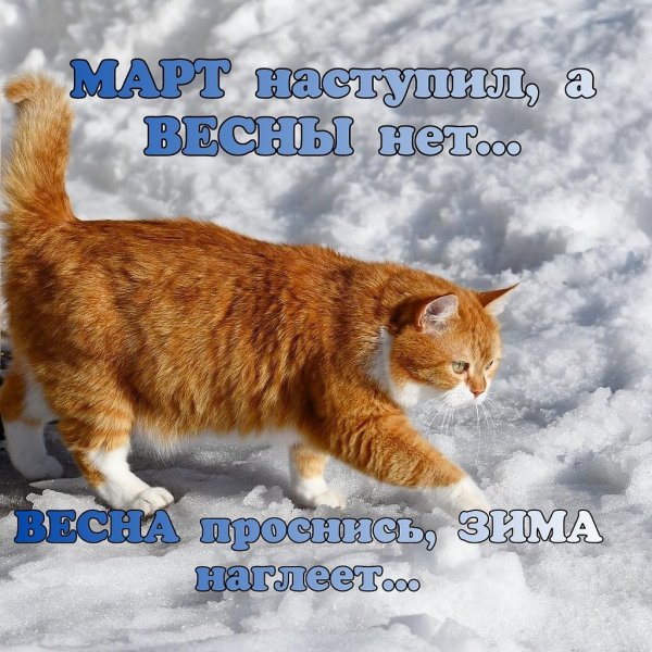 Шутки про снег весной