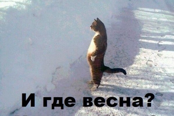 Весна ты где