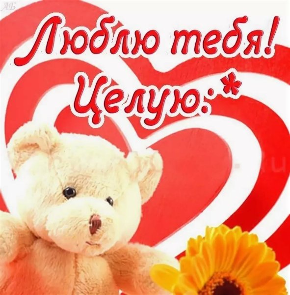 Люблю тебя