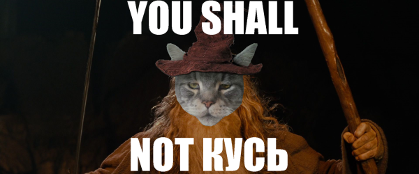 Кот Гэндальф