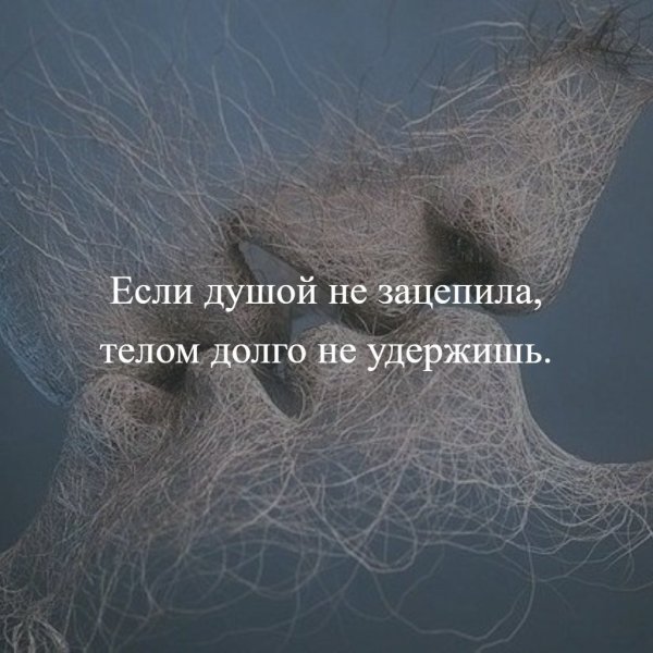Цитаты цыпляюсшие за душу