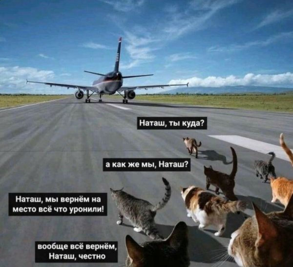 Куда полететь